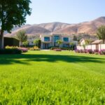 The Consultation: Making the Most of Your Meeting with Piru Installers